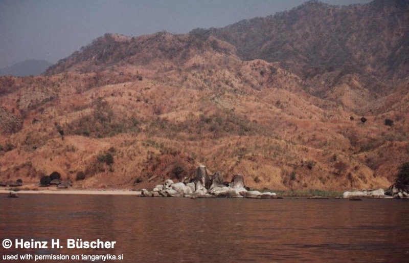 Zongwe Island 02